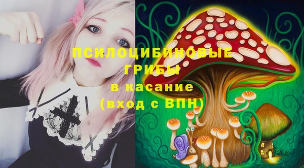 молекула духа Белокуриха