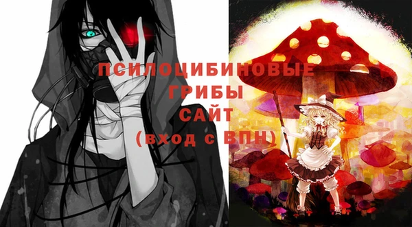 молекула духа Белокуриха