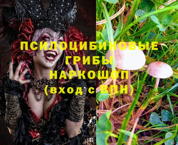 молекула духа Белокуриха