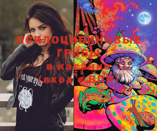 молекула духа Белокуриха