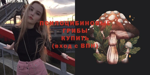 молекула духа Белокуриха